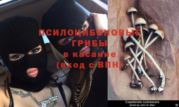 круглые Переславль-Залесский