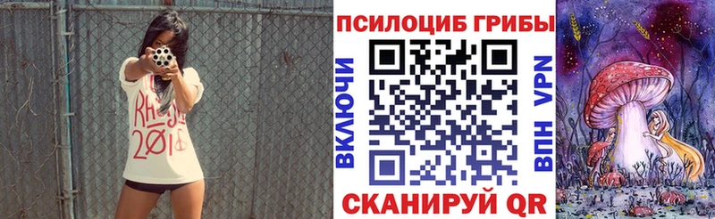 Купить где  Дзержинск  Галлюциногенные грибы мицелий 